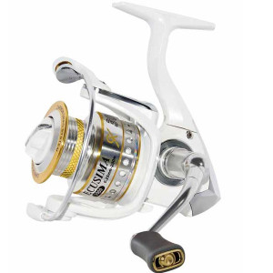 RYOBI Ecusima GX 4000 3+1