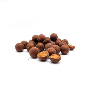 Der Baitmaster ist ein Top Karpfenköder