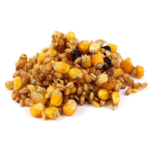 Partikelmixe ist eine große Verlockung für Karpfen