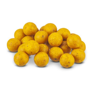 Feinste Boilies von Anaconda